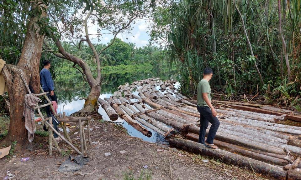 Polda Riau Bongkar Mafia Kayu Mat Ari alias Anak Jenderal