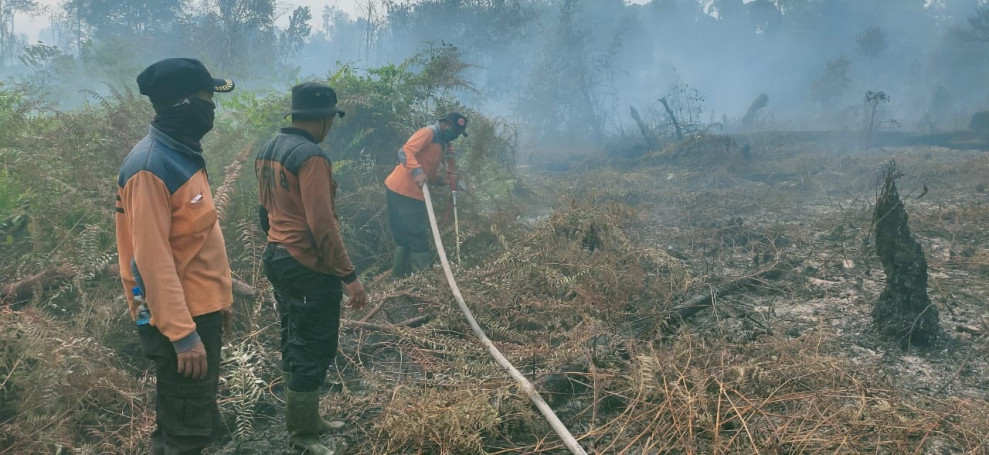 Karhutla Kembali Membara di Inhil, Kali ini Titik Api di Kecamatan Gaung