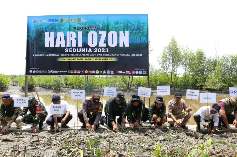 PT PNM, BDPN dan Unisi Tanam Mangrove di Dusun Sungai Bandung