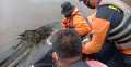 Korban Hanyut Ditemukan di Bawah Jembatan Sungai Lubuk Kampung Baru