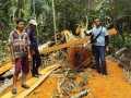 Ilegal Logging di Kabupaten Meranti, Satu Buron