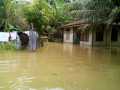 Ratusan Rumah Warga Pulau Birandang Kampar Terendam Banjir, Masyarakat Belum Kunjung dapat Bantuan