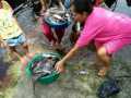 JMGR: Ribuan Ikan Mati Diduga Keracunan, DLH Pelalawan Harus Tanggap