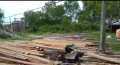 PT Diamond Raya Timber di Rohil Lalai, Lahan HGU Ada Aktifitas Ilegal Logging