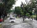 Banjir di Pekanbaru karena Buruknya Draise, Diminta Partisipasi dan Kesiapsiagaan Warga