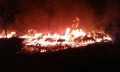 Tangis Pilu Karyawan PT PSG di Malam Lebaran, 60 Rumah Hangus Terbakar