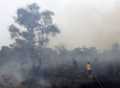 Lahan Gambut di Kabupaten Kepulauan Meranti 12 Hektar Terbakar Selama 3 Hari