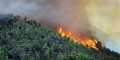 Riau Memasuki Kondisi Gawat Kebakaran Hutan Dan Lahan