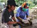 Burung Merak Diamankan BBKSDA Riau Milik Pedagang Kopra Inhil