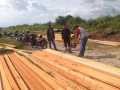 Polisi Temukan Kayu Olahan Hasil Ilegal Logging di Kabupaten Kepulauan Meranti