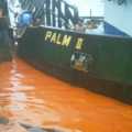 PT Nagamas Palm Oil Lestari Cemari Perairan Dumai
