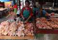 Idul Fitri 1437 H, Harga Daging Ayam Kampung Capai RP65.000/Kg