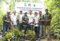 Tanam Mangrove, Green Indragiri Selamatkan Ekosistem Pantai Solop