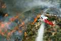 Hotspot Masih Banyak di Riau, Lima Helikopter Diterjunkan Padamkan Api