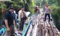 Polres Siak Selidiki Dugaan Ilegal Logging di Kampung Rawa Mekar Jaya