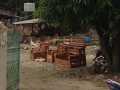 Warga Sudah Banyak Yang Protes Bau Kotoran Hewan di Jalan Kertama