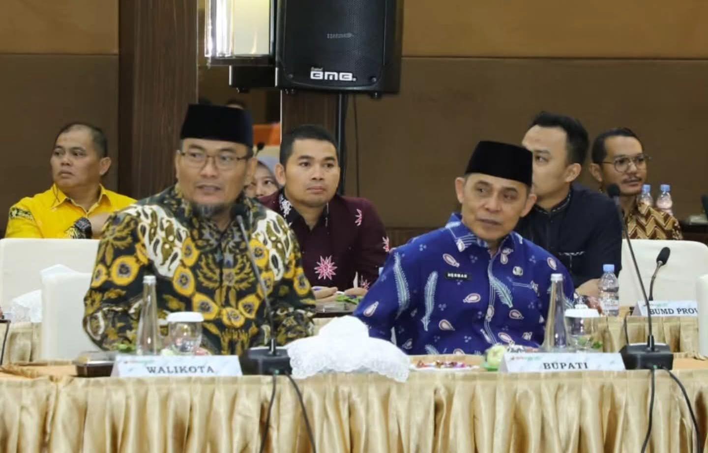 Bupati Inhil Menghadiri Pertemuan Komisi II DPR RI Dengan Pemprov & Pemda Se Provinsi  Riau