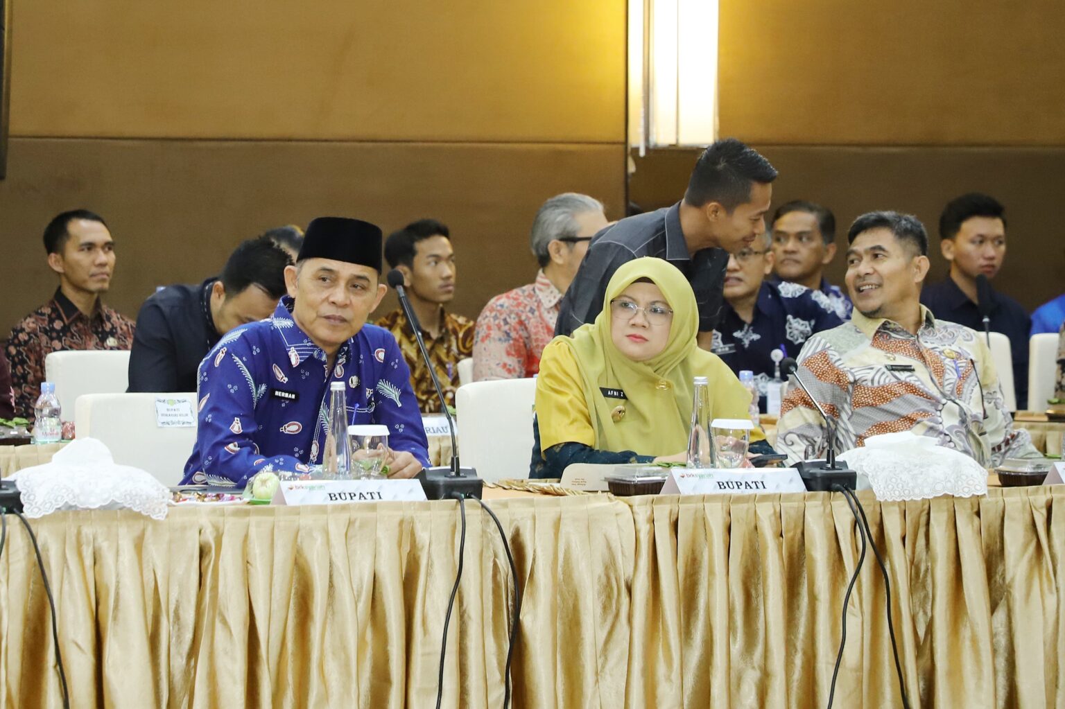 Bupati Inhil Menghadiri Pertemuan Komisi II DPR RI Dengan Pemprov & Pemda Se Provinsi  Riau